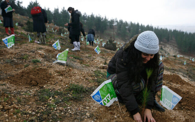 tierra young women planting trees