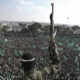 Masas-de-Hamas-AFP movimiento