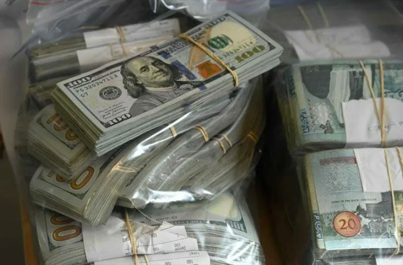 Dinero-confiscado-FDI millones