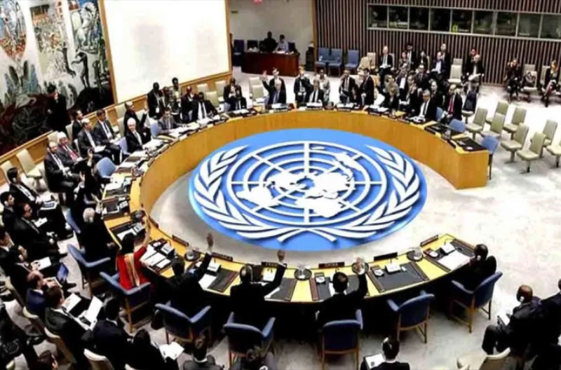 Consejo-de-Seguridad-ONU-c5n.com_ secuestrados