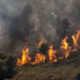 Incendios-cerca-de-Safed-Anadolu frontera
