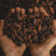 Cacao-Unsplash chocolate