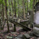 1.-PRINCIPAL-Cementerio-lapidas-danadas-JTA varsovia