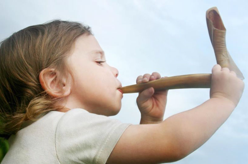 Nino-shofar estudios