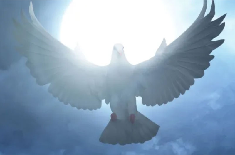 Imagen artículo Cohen todopoderoso