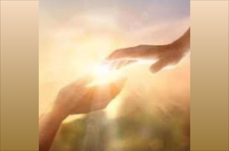 Imagen-articulo-Truzman salmo