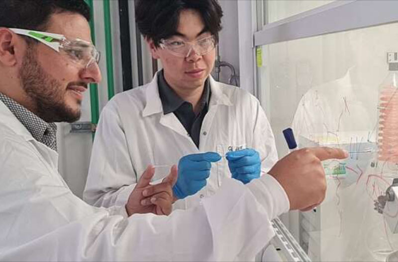 Shady-Farah-Tejnion insulina