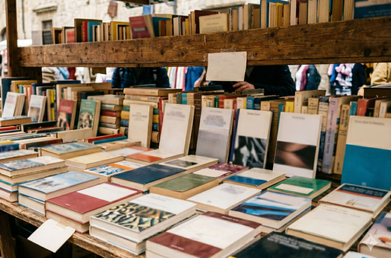 Meson-de-libros-Gemini holocausto