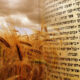 Shavuot cuenta