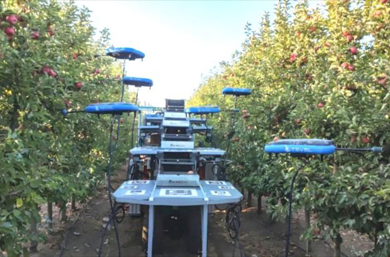 Cosecha robotica