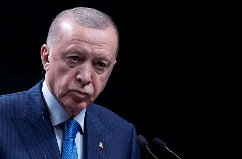 Erdogan-Reuters declaraciones