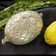 Etrog-Wikimedia fruta