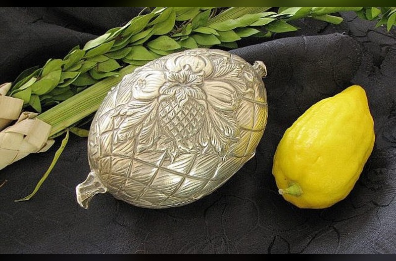 Etrog-Wikimedia fruta