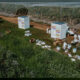 Colmenas-Beewise artificial